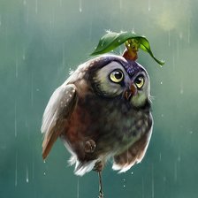 Под дождиком