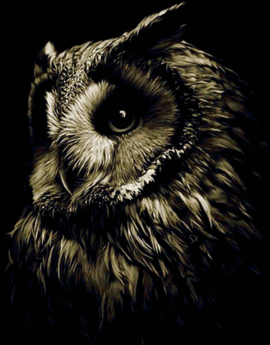 Великолепная сова - предпросмотр