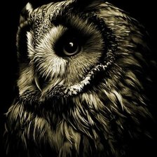 Схема вышивки «Великолепная сова»