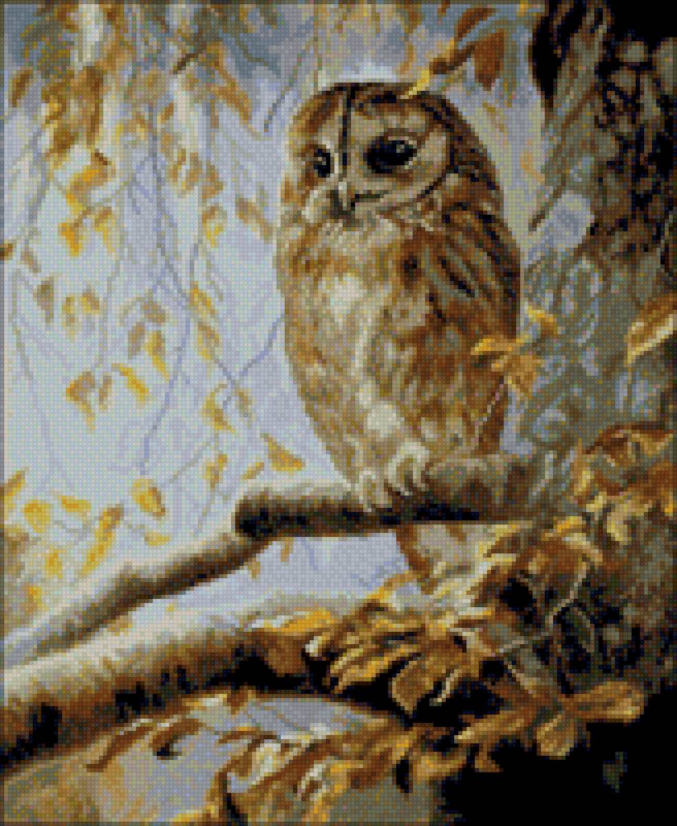 Мудрая птица - птица, фауна, сова - предпросмотр