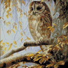 Схема вышивки «Мудрая птица»