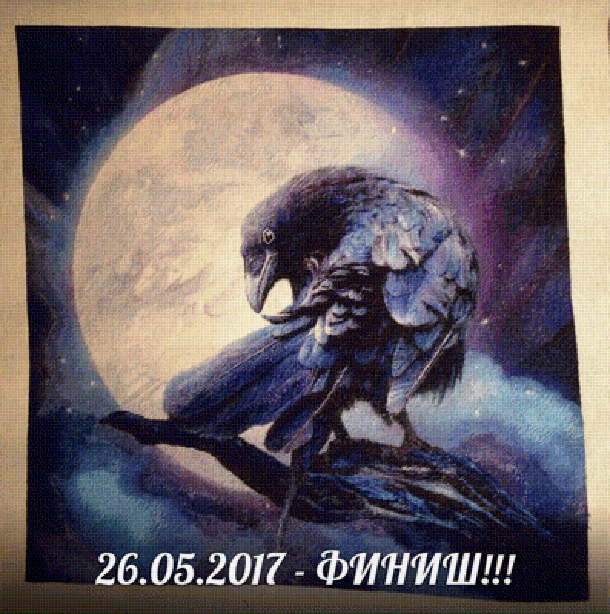 ворон - предпросмотр