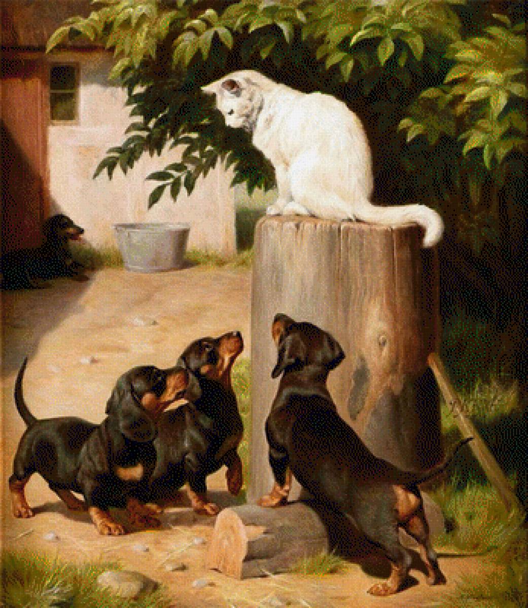 Собаки - животные - предпросмотр