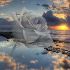 Схема вышивки «Zakat»