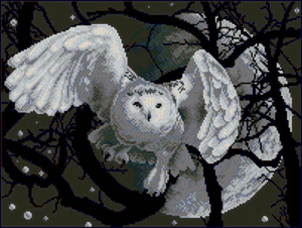 kkkk - предпросмотр