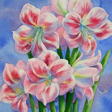 Схема вышивки «CVETQ»