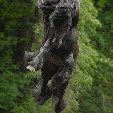 Схема вышивки «конь»