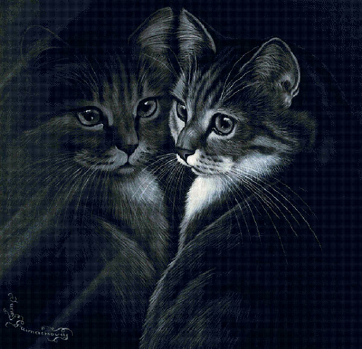 Отражение - предпросмотр