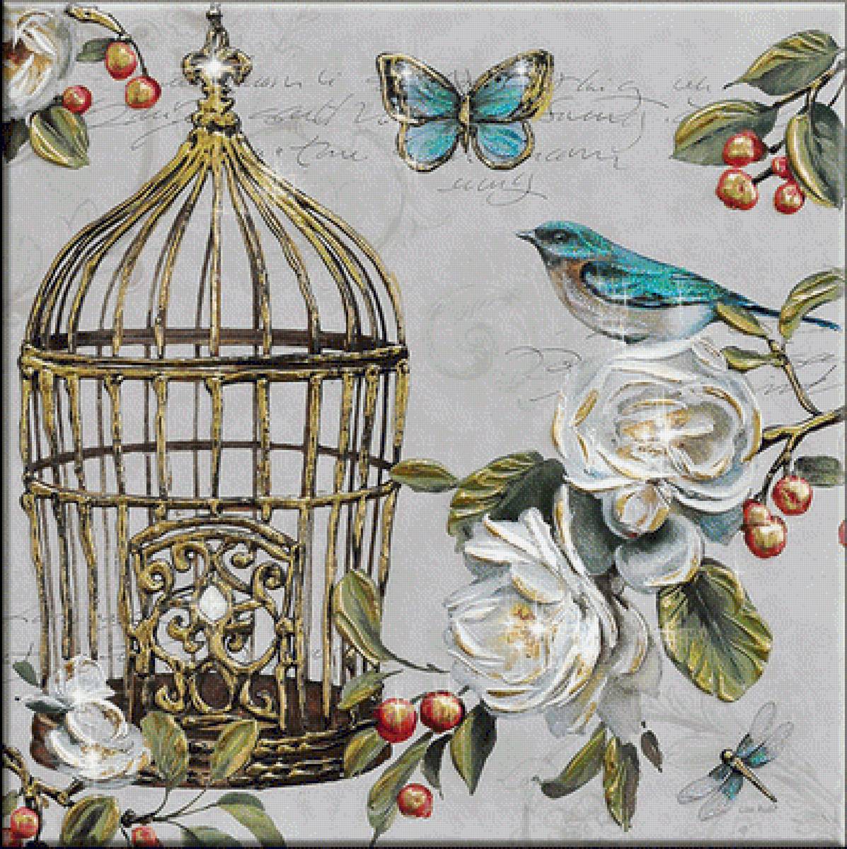 Клетка - птицы - предпросмотр