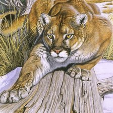 Схема вышивки «Пума»