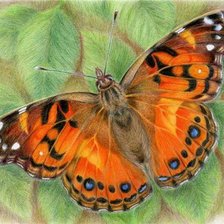 Схема вышивки «бабочка»