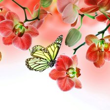 Схема вышивки «Орхидея»