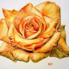 Схема вышивки «р»