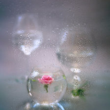 Схема вышивки «Розы»