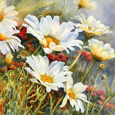 Схема вышивки «ромашки»