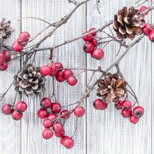 Схема вышивки «Шишки»