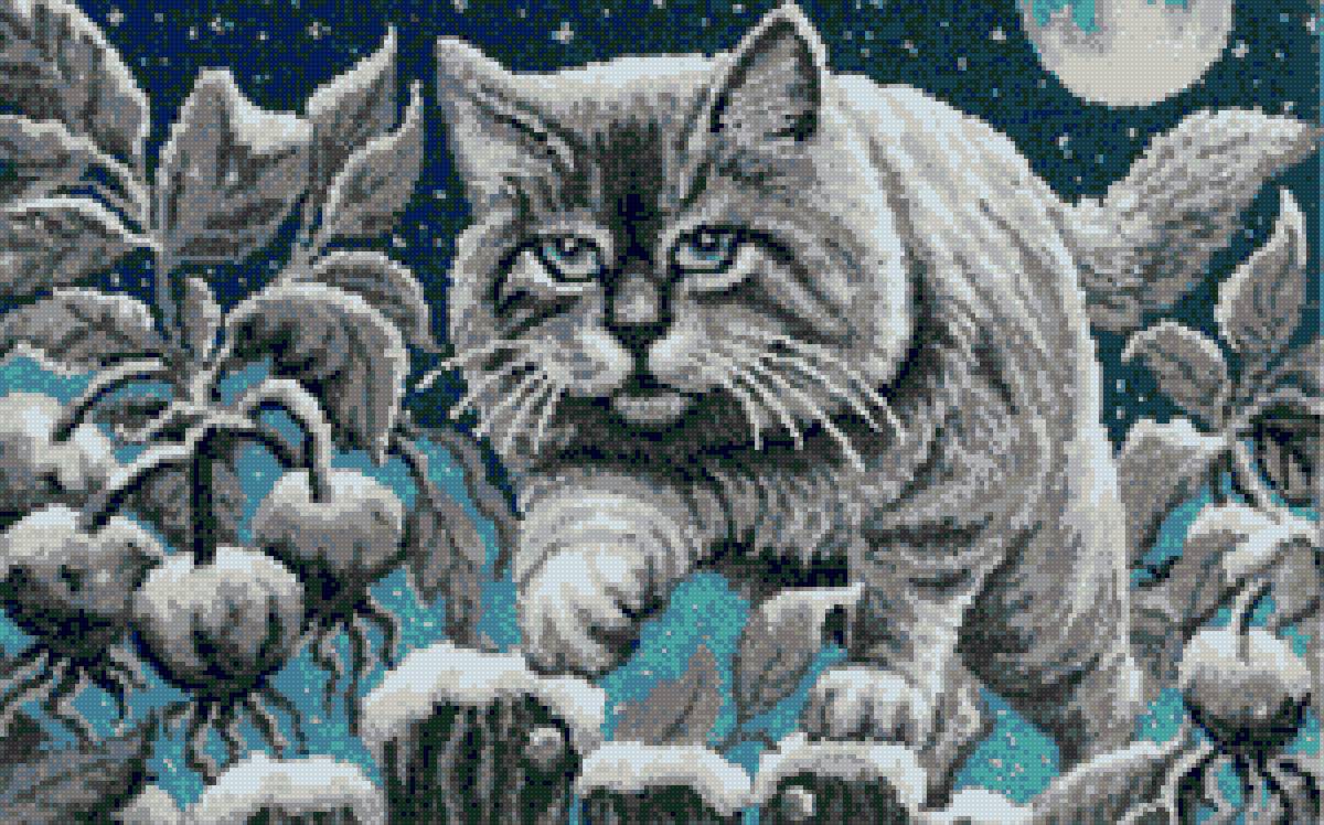 лунный кот - предпросмотр