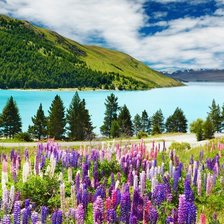 Схема вышивки «Природа»