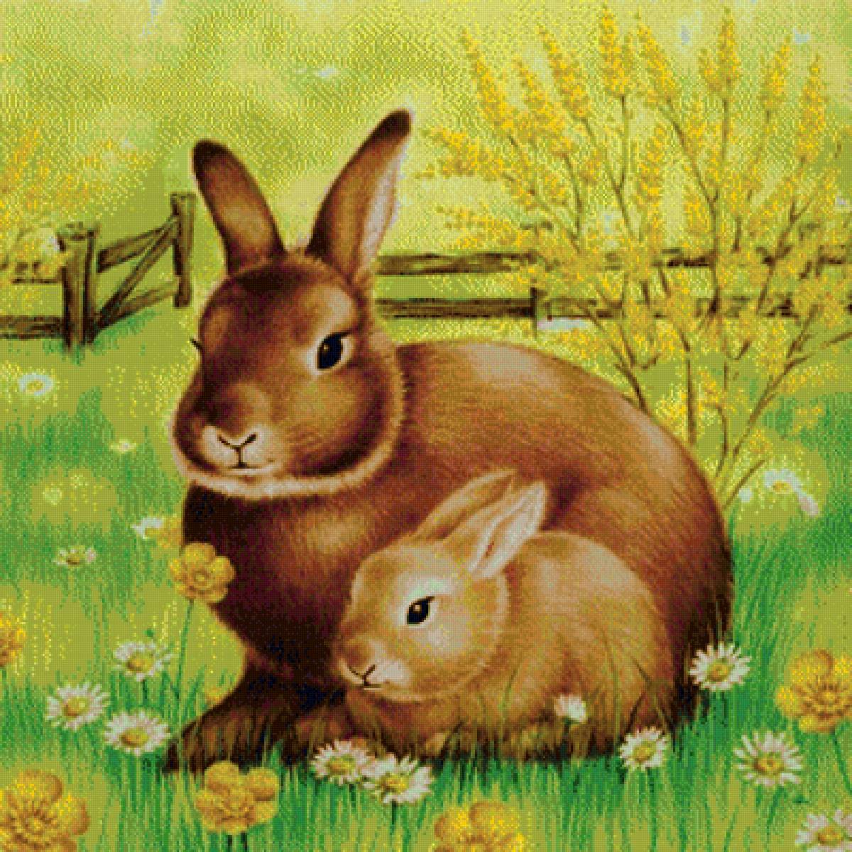 Кролики - предпросмотр