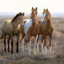 Схема вышивки «№1535200»