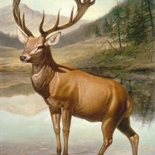 Схема вышивки «№1535926»