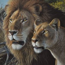 Схема вышивки «№1535941»