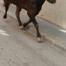 Схема вышивки «Begoña»