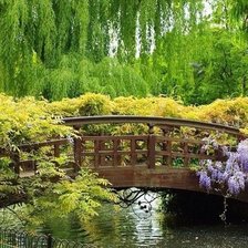 Схема вышивки «мост»