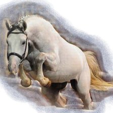 Схема вышивки «Tabiano vom Castell»