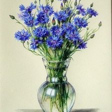 ВАСИЛЬКИ В ВАЗЕ