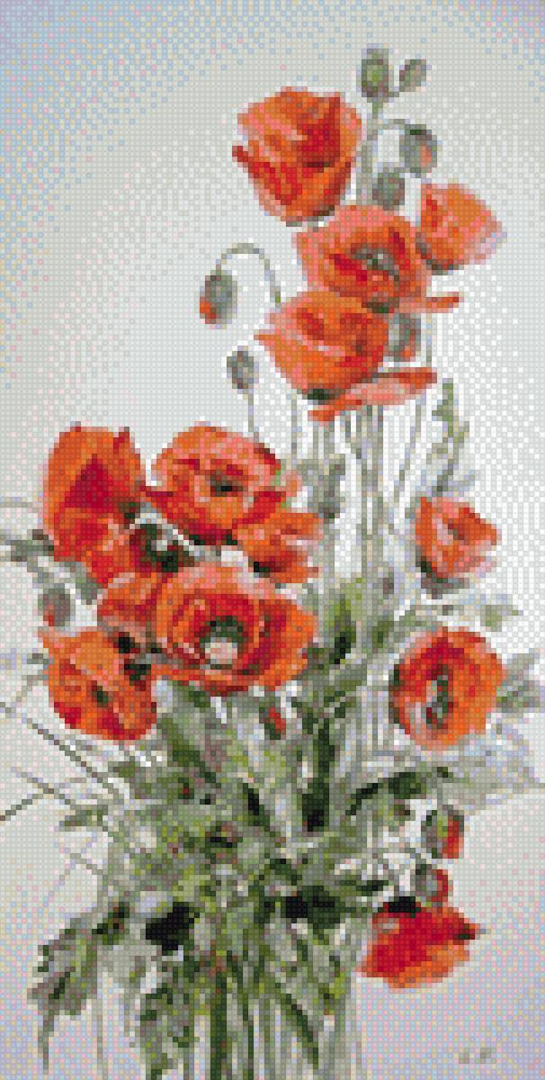 букет маков ( с фото) - предпросмотр