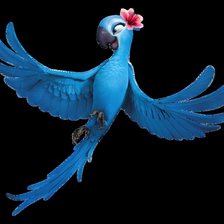 Схема вышивки «Попугай»