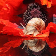 Схема вышивки «УЛИТКА»