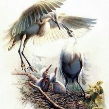 Схема вышивки «аисты»