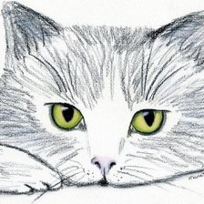 Схема вышивки «котя»