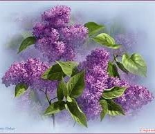 Схема вышивки «№1542055»