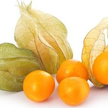 Схема вышивки «ФИЗАЛИС»