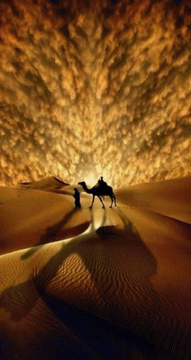 №1542760 - животные, пейзаж - предпросмотр