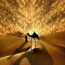 Схема вышивки «№1542760»