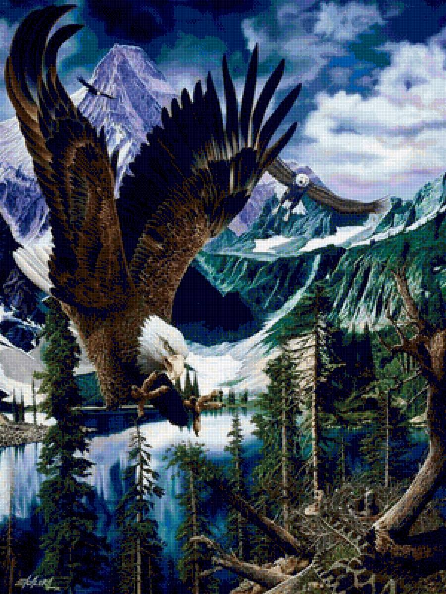 OREL - fauna priroda ptici - предпросмотр