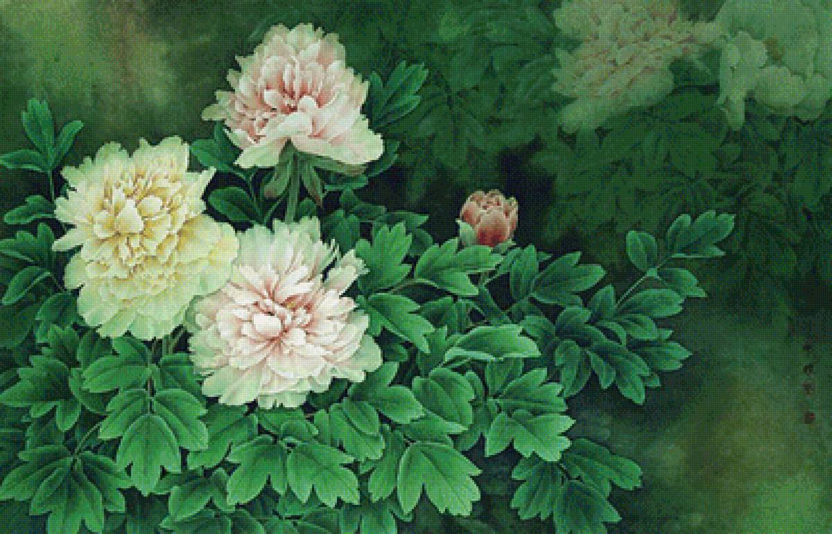 Пионы - рисунки, арты, картины, пионы, цвета - предпросмотр