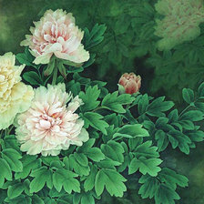 Схема вышивки «Пионы»