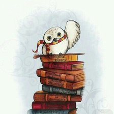 Схема вышивки «Хедвига»