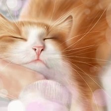 Схема вышивки «нежность»