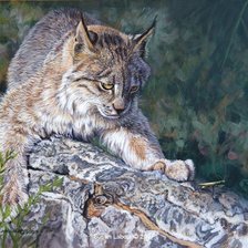 Схема вышивки «ловля кузнечика»