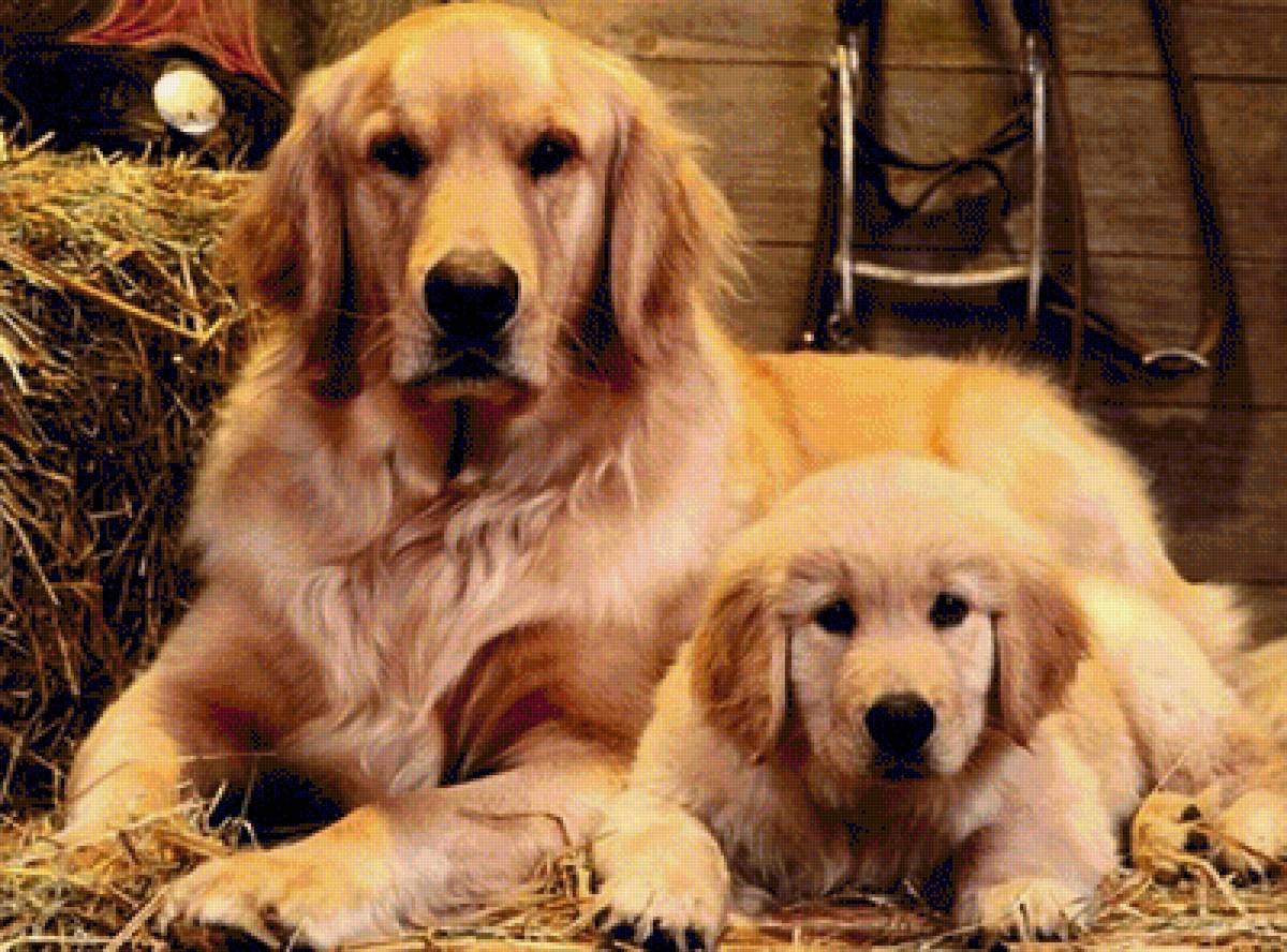 №1543374 - предпросмотр