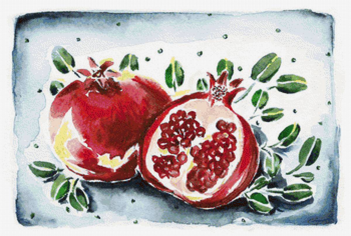 Гранаты - рисунки, фрукты, арты - предпросмотр