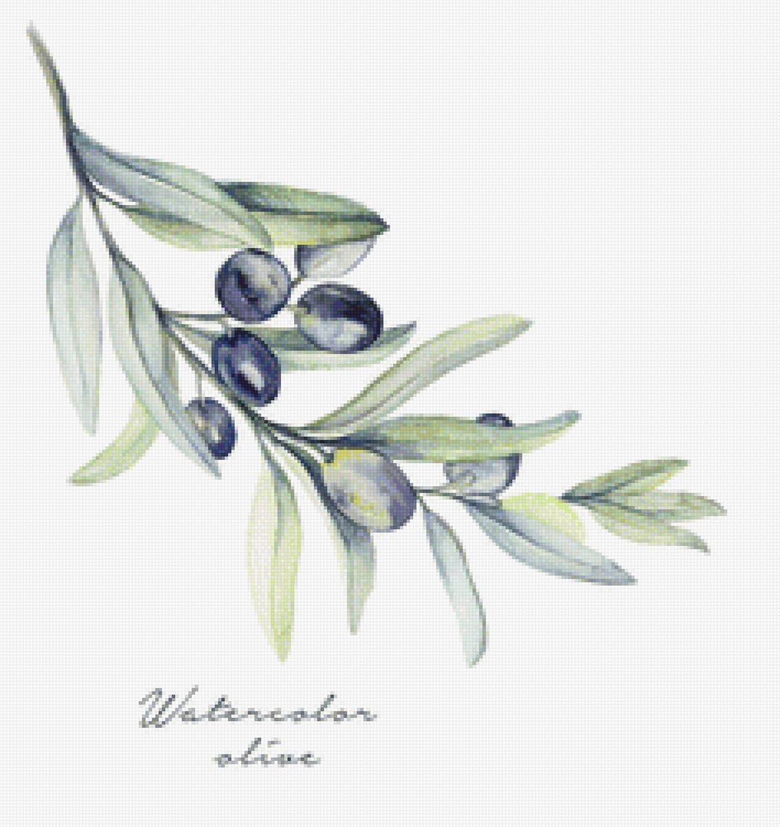 Маслины - маслины - предпросмотр