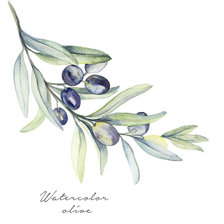 Схема вышивки «Маслины»