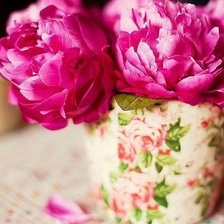 Схема вышивки «пионы»